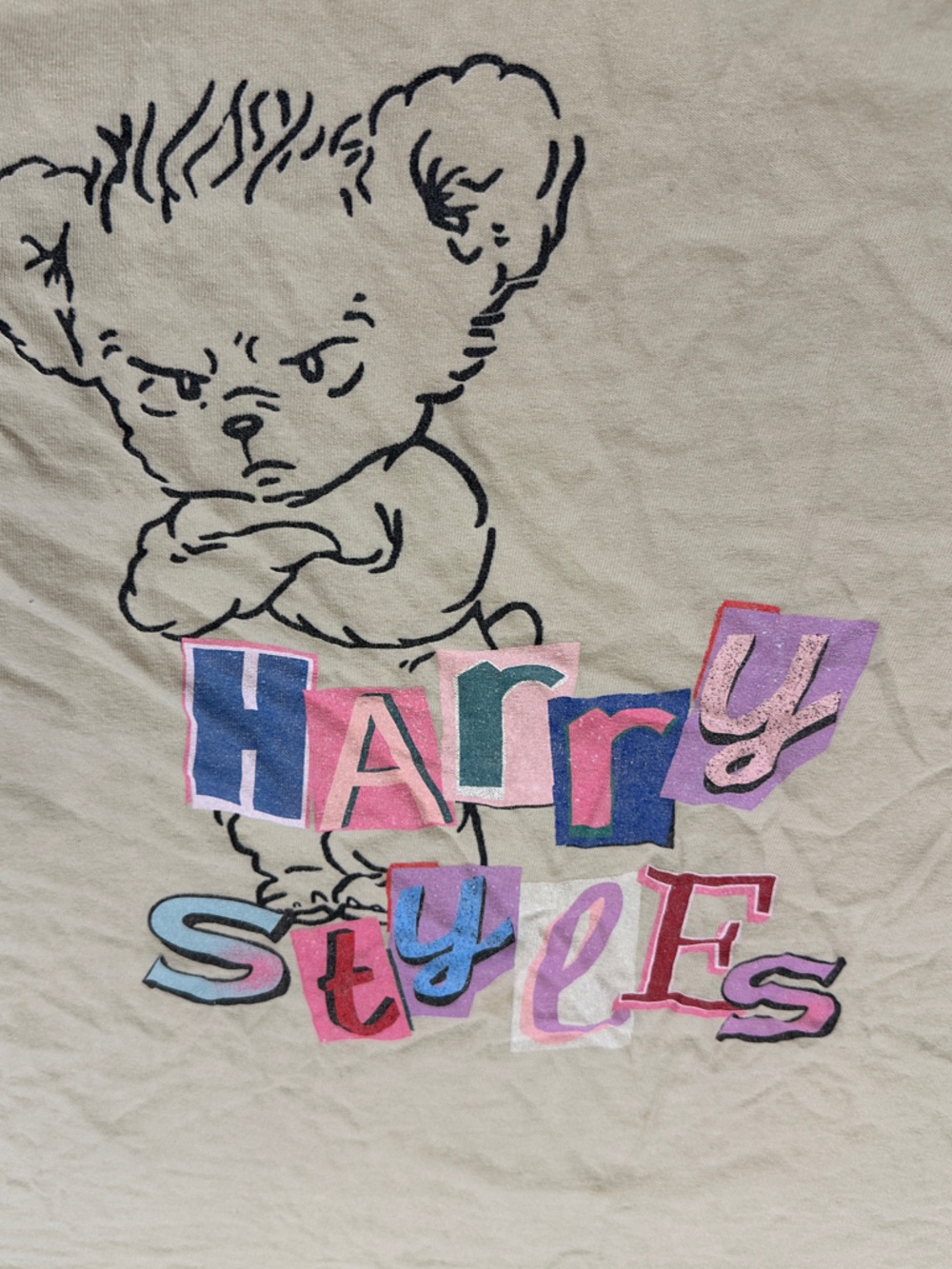 Harry Styles Inspired Graphic Tee Cream Gildan Shirt Size Large - Picture 2 of 5